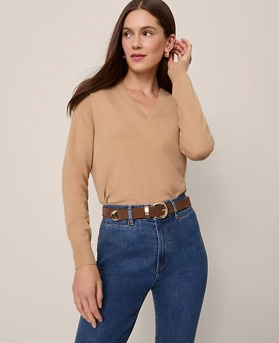 Ann Taylor V-Neck Sweater Women's