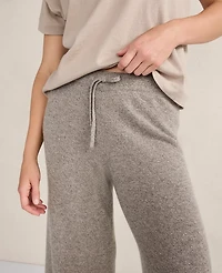 Ann Taylor Haven Well Within Cashmere Wide Leg Pants Porcini Heather Women's