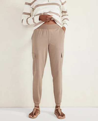 Ann Taylor Haven Well Within Organic Cotton Interlock Cargo Pants Size Large Stone Taupe Women's