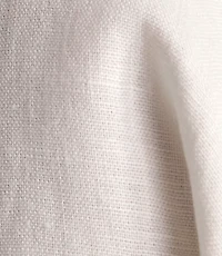 Haven Well Within Heavyweight Linen Blazer