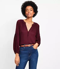 Velvet Dot Billow Sleeve Blouse