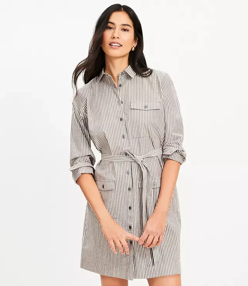 Petite Stripe Belted Mini Pocket Shirtdress