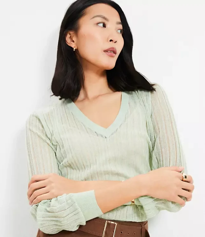Sheer Ribbed V-Neck Sweater
