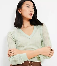 Sheer Ribbed V-Neck Sweater