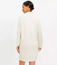 Petite Rib Trim Collared Mini Sweater Dress