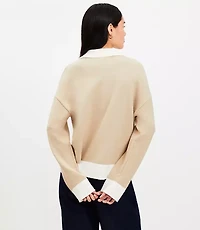 Petite Colorblock V-Neck Sailor Sweater