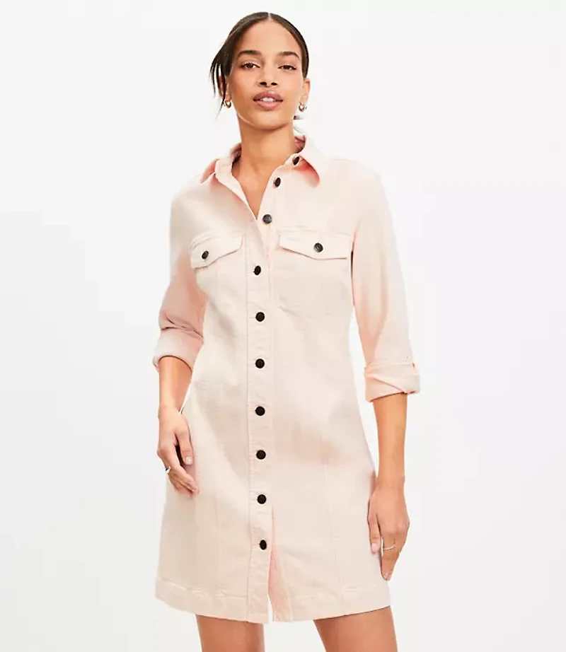 Petite Seamed Denim Mini Pocket Dress