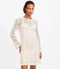 Petite Crochet Mini Dress