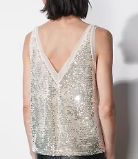 Greylin Ivy V-Neck Velvet Sequin Top