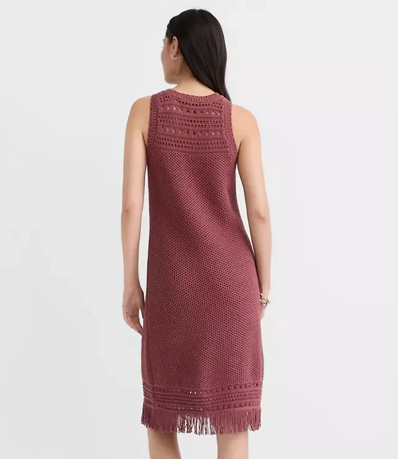 Petite Fringe Pointelle Mini Sweater Dress