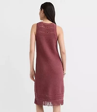 Petite Fringe Pointelle Mini Sweater Dress