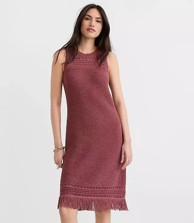Petite Fringe Pointelle Mini Sweater Dress