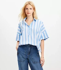 Petite Striped Henley Dolman Everyday Tunic Shirt