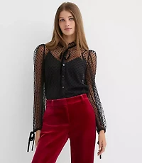 Velvet Dot Tulle Bow Blouse