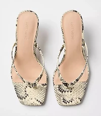 LOFT Versa Snake Print Leather Kitten Heel Thong Sandals