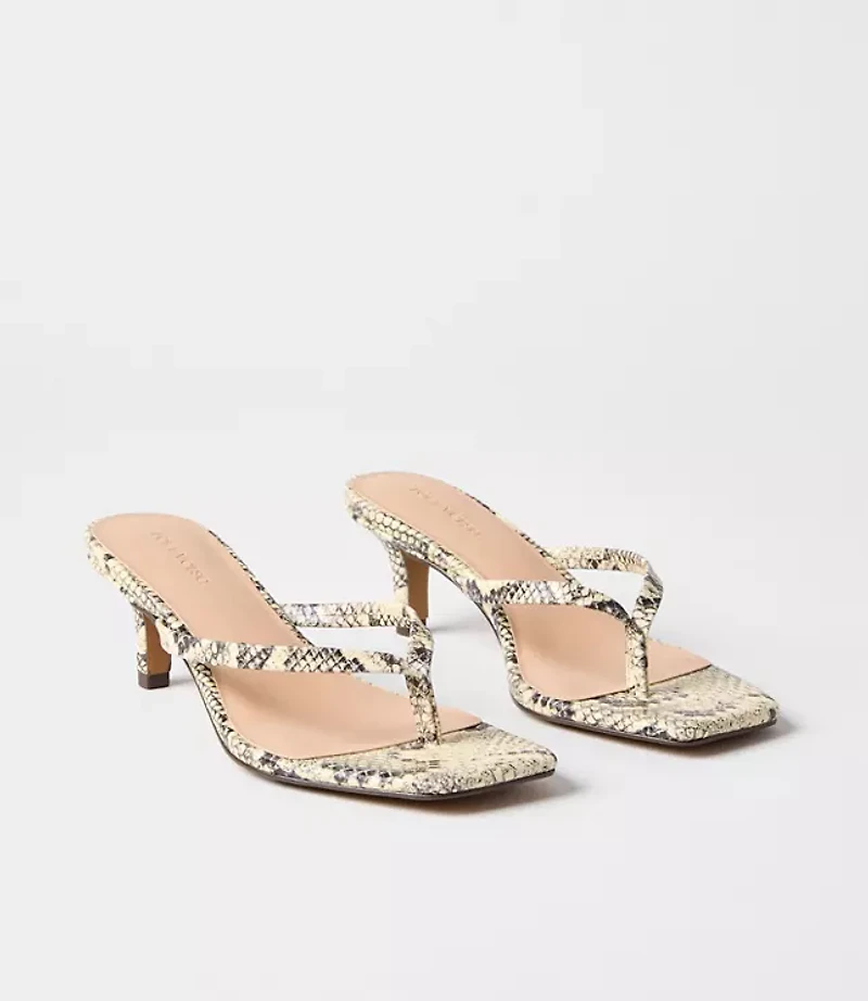 LOFT Versa Snake Print Leather Kitten Heel Thong Sandals