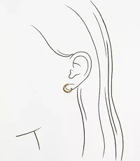 Double Heart Stud Earring Set