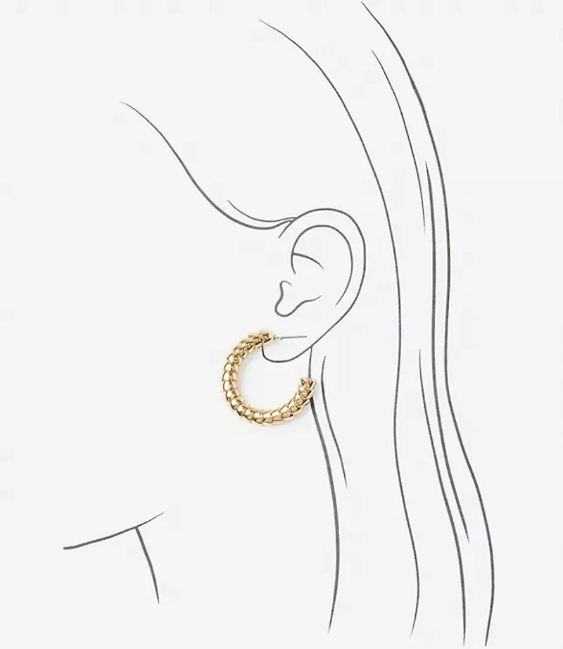 Coiled Hoop Earrings
