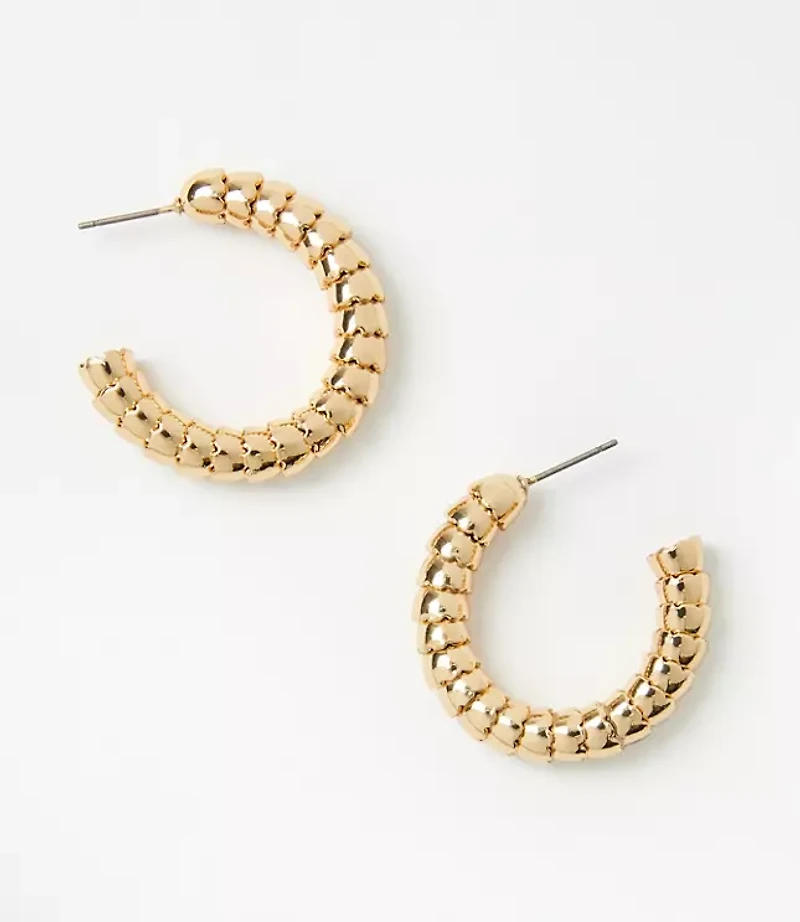 Coiled Hoop Earrings