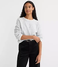 Tipped Seamed Raglan Sweater