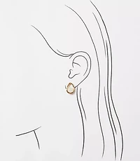 Mother Of Pearl Framed Stud Earrings