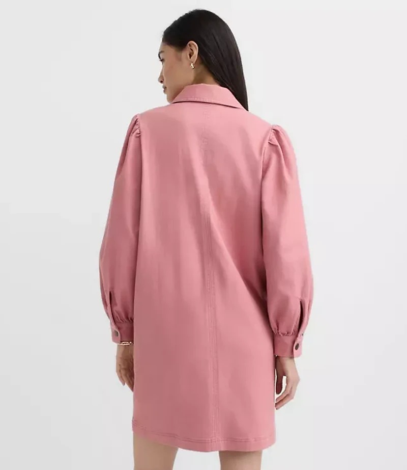 Petite Seamed Zip Mini Pocket Dress