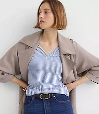 Petite Striped Everyday V-Neck Tee