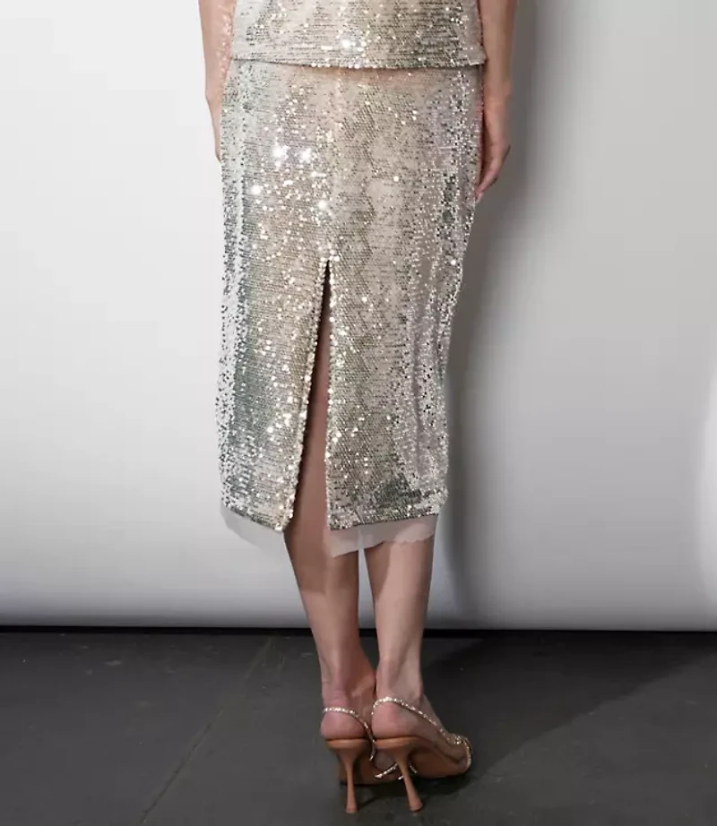 Greylin Gianna Velvet Sequin Midi Skirt