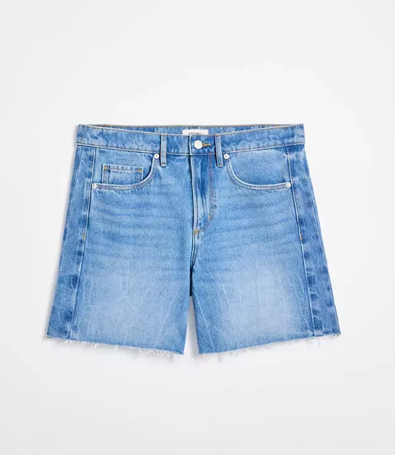 Rivete Curvy Fresh Cut Seamed Boyfriend Shorts in Light Wash