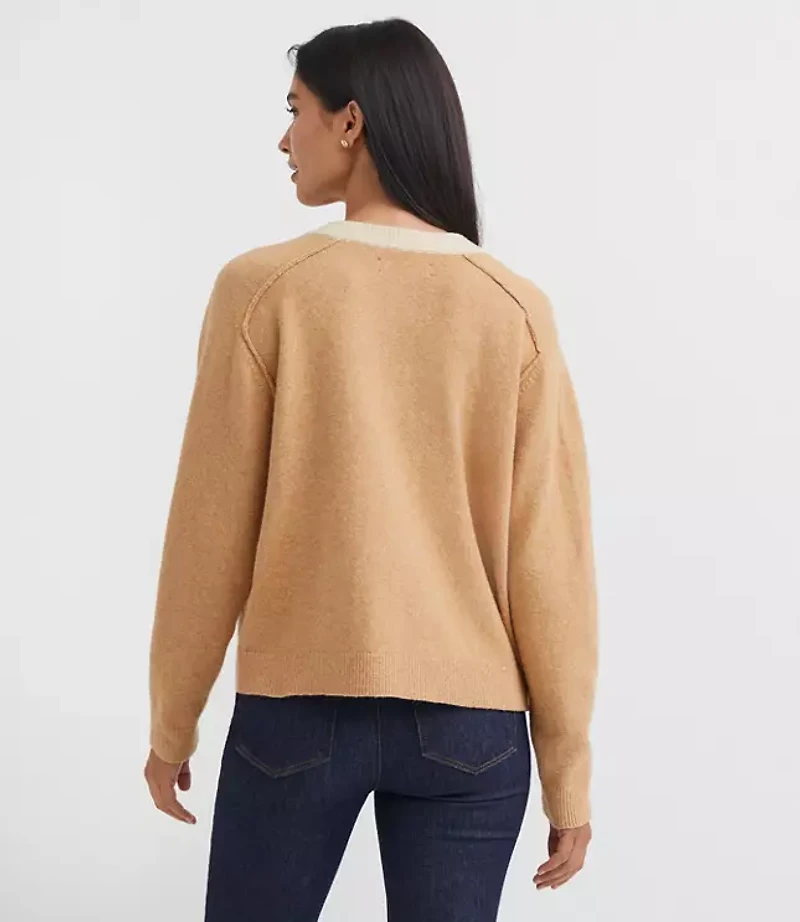 Petite Colorblock Saddle Sleeve Cardigan