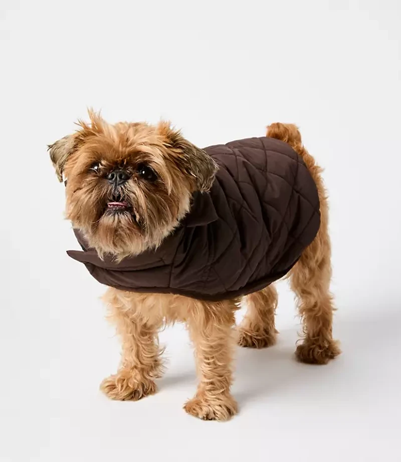 Dog Puffer Jacket