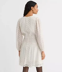 Shimmer Clip Shirred Mini Dress