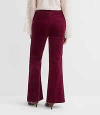 Petite Curvy Slim Flare Pants Stretch Velvet