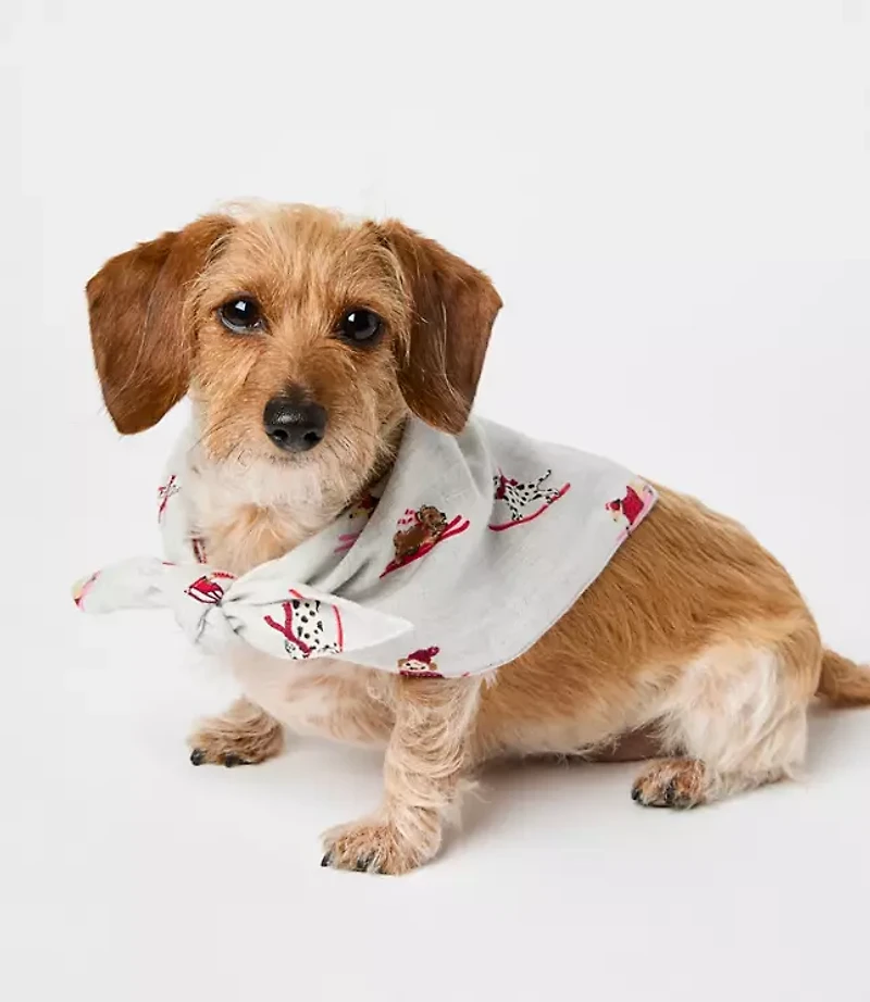 Ski Puppy Dog Bandana