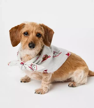 Ski Puppy Dog Bandana