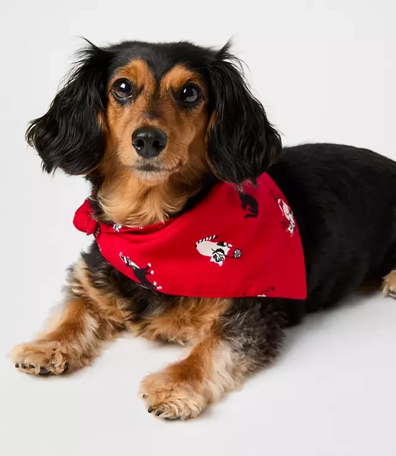 Holiday Kitten Dog Bandana