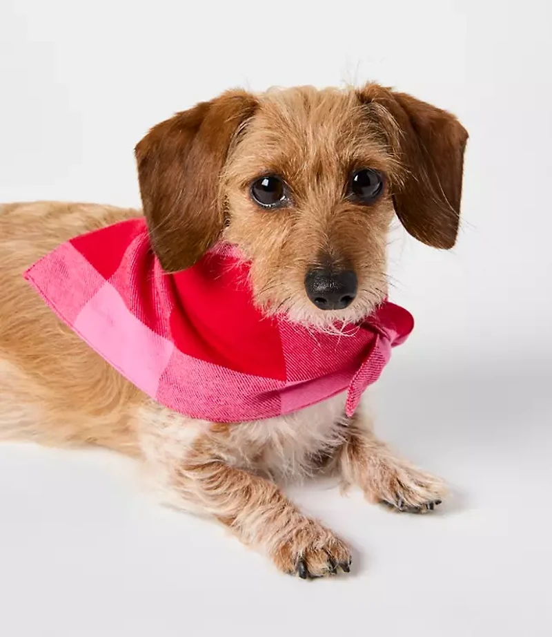Buffalo Plaid Dog Bandana