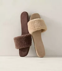 Haven Well Within Sherpa Slides