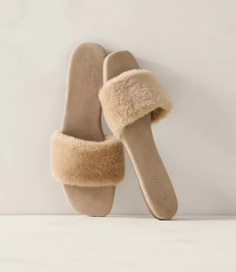 Haven Well Within Sherpa Slides