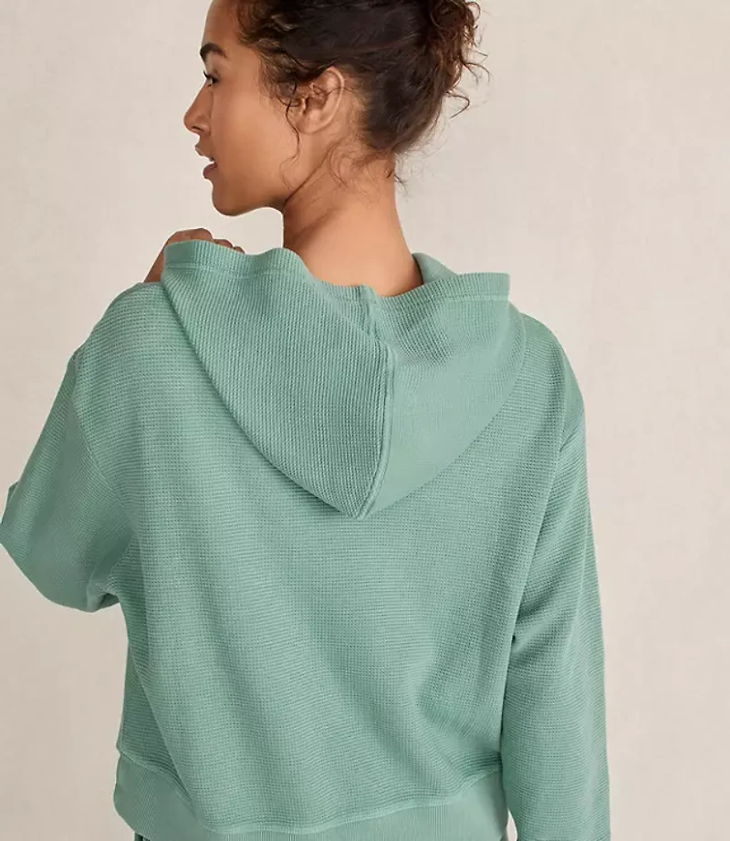 Haven Well Within Organic Cotton Waffle Hoodie