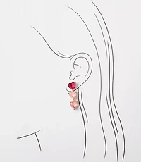 Ombre Crystal Heart Drop Earrings