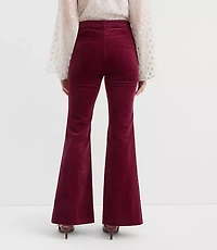Tall Slim Flare Pants Stretch Velvet