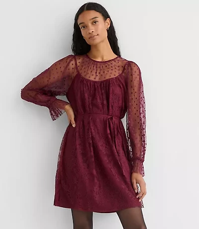 Petite Dotted Chantilly Lace Mini Dress