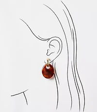 Resin Statement Drop Hoop Earrings
