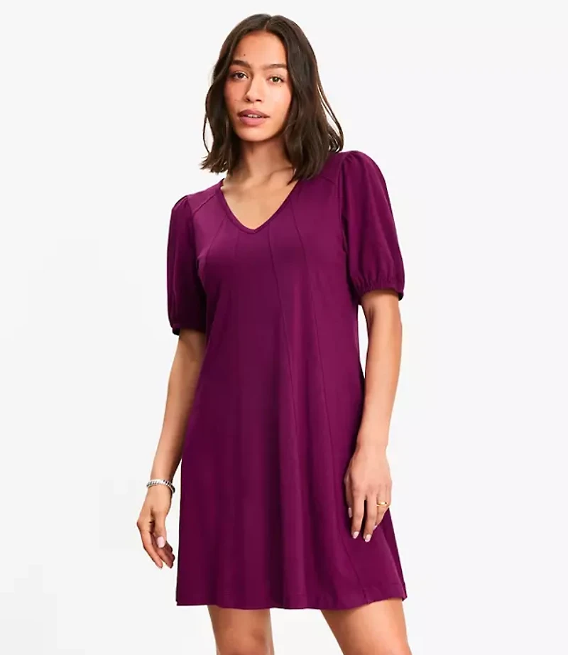 Petite Seamed Mini Dress