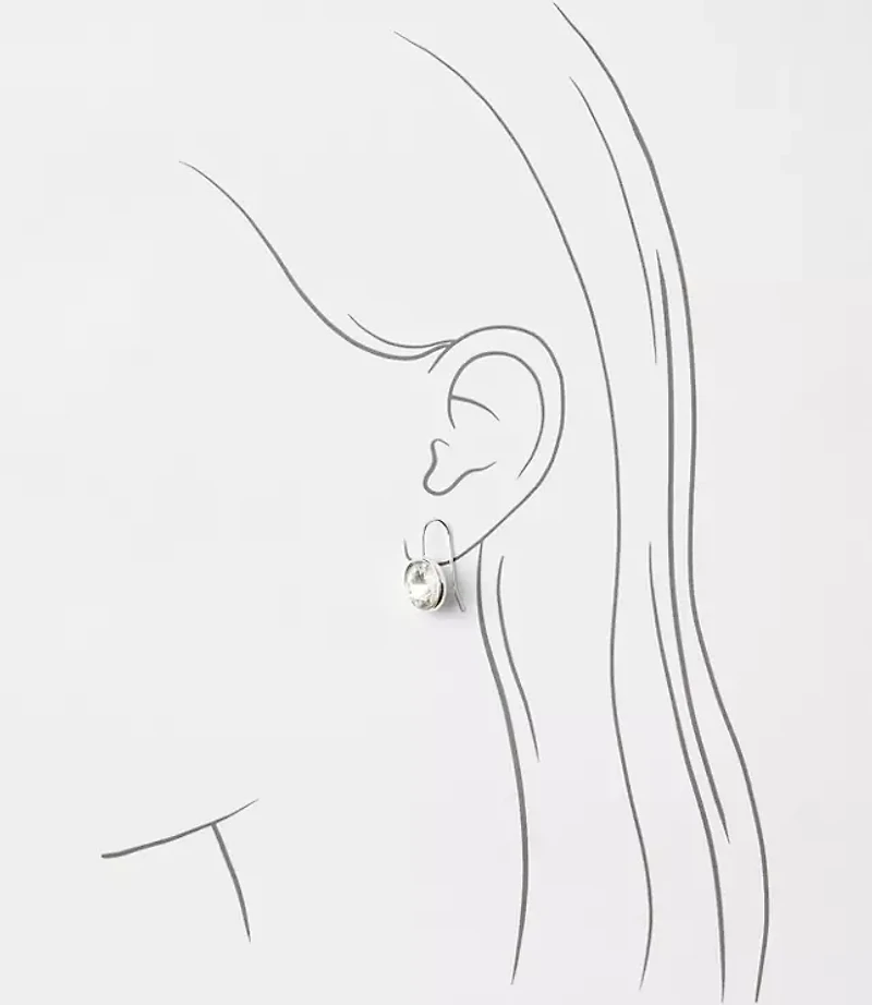 Sparkle Pull Through Earrings