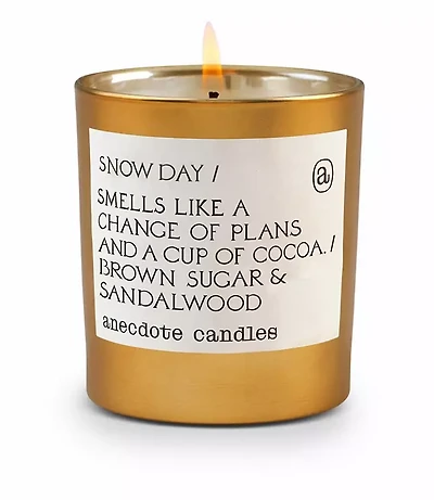 Anecdote Candles Snow Day Gold Tumbler Candle