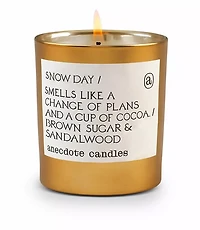 Anecdote Candles Snow Day Gold Tumbler Candle