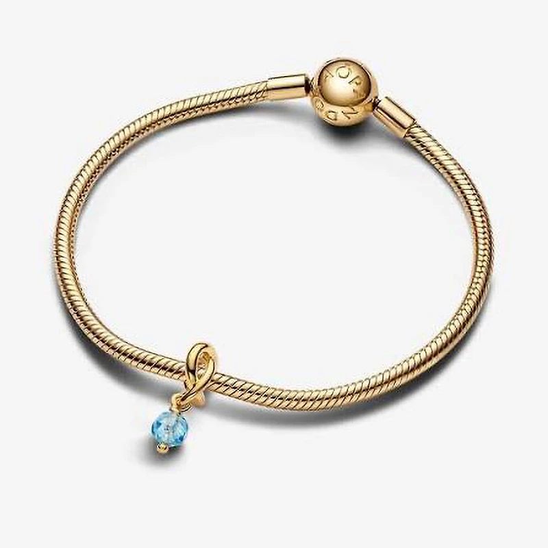 Pandora Eternity Circle Dangle Charm | 763462C03