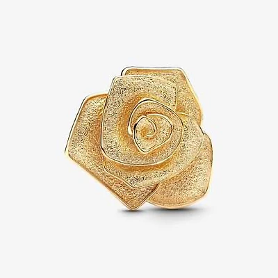 Pandora Rose in Bloom Oversized Charm | 763675C00